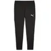 Puma teamGOAL Slim Training Pants noir L