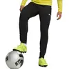Puma teamGOAL Slim Training Pants noir S