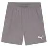 Puma Short TeamGloal gris XS