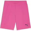 Puma teamGOAL Shorts rose M