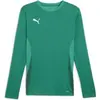 Puma Maillot manches longues TeamGoal vert XL
