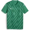 Puma teamGLORY Jersey Jr vert 152