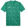 Puma teamGLORY Jersey Jr vert 140