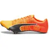 Puma Baskets Evospeed Future Fast