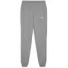 Puma Jogging femme TeamGoal gris L