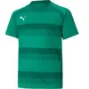 PUMA Teamvision Jersey Jr Tricot Mixte bébé