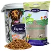 Lyra Pet - 5 kg de larves de mouches soldats ® dans un bac de 30 l