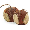 3 x 4 pcs. Lyra Pet® Noix de coco farcie avec trous