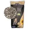 Lyra Pet - 10 kg de graines de tournesol ® rayées Nouvelle récolte