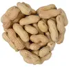 Lyra Pet - 10 kg de cacahuètes ® en cosses hk Argentine