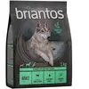 Briantos Adult agneau, pommes de terre - SANS CÉRÉALES pour chien - 1 ...