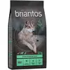 Lot Briantos SANS CÉRÉALES 2 x 12 kg pour chien - Adult agneau, pommes...