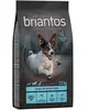 Briantos Adult Mini saumon, pommes de terre - SANS CÉRÉALES pour chien...