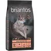 Briantos Adult Light Sterilised dinde & pommes de terre - SANS CÉRÉALES pour chien - 12 kg