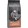 12kg Briantos Senior dinde, pommes de terre SANS CÉRÉALES - Croquettes pour chien