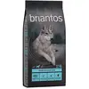 12kg Briantos Adult saumon, pommes de terre SANS CEREALES - Croquettes pour chien