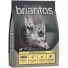 1kg Briantos Junior poulet, pommes de terre SANS CÉRÉALES - Croquettes pour chien