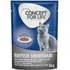 12x85g British Shorthair Adult Concept for Life - Sachet pour chat