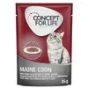 12x85g Maine Coon Adult Concept for Life - Sachet pour chat