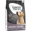 1kg Labrador Sterilised Concept for Life - Croquettes pour chien