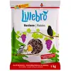 Raisins secs Lillebro 1 kg pour oiseaux sauvages - 1 kg