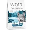1kg Mini Blue River saumon Wolf of Wilderness - Croquettes pour chien