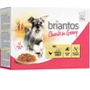 Briantos Bouchées en sauce 12 x 100 g pour chien - poulet, carottes