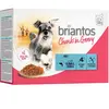 Briantos Bouchées en sauce 12 x 100 g pour chien -  saumon, carottes