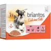 12x100g boeuf Delicious Paté Briantos nourriture humide pour chien