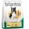 Briantos Senior, volaille, riz pour chien - 1 kg