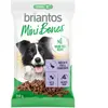 200g saumon, carottes, thym-sans céréales Briantos Mini Bones friandises pour chien