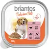 Briantos Delicious Paté 9 x 300 g pour chien   boeuf