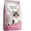 10kg Concept for Life Maine Coon Kitten - Croquettes pour chaton