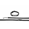 Laisse pour chien avec colier Eskadron Noir S 491000-852-290