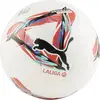 Ballon De Football Puma Orbita Laliga