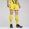 Puma Short 24/25 Borussia Dortmund jaune 3XL