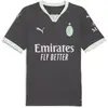 PUMA Troisième Maillot AC Milan 2024/25 Homme - Grey, Grey S