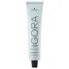 Igora Royal Highlifts 10-4 Eclaircissant Beige 60 ML