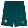 Puma Short 24/25 Rc Lens vert XL