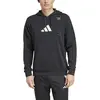 Adidas Sweat à Capuche Graphic