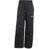 adidas Pantalon de ski femme Terrex Xperior noir 42