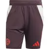 adidas Short d'entraînement FC Bayern Tiro 24 - Bordeaux, Bordeaux XS