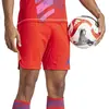 adidas Short Gardien de but Tiro 24 Pro rouge S