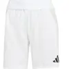 adidas Short Tiro 24 Competition Match blanc L
