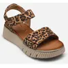 88720-44 par Tamaris Comfort Marron 39 Femme