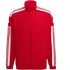 Adidas Veste Squadra 21 Presentation