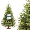 FairyTrees Sapin de Noël Artificiel 180cm NORDMANN Exl | Arbre de Noël...