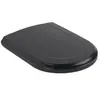 Villeroy & Boch Hommage Abattant WC, 8809S1R7,