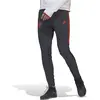adidas Pantalon FC Bayern Condivo Pro 22 gris XS
