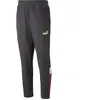 Puma Pantalon Ac Milan 22/23 Ftbl Archive
